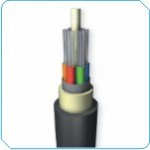 loose-tube